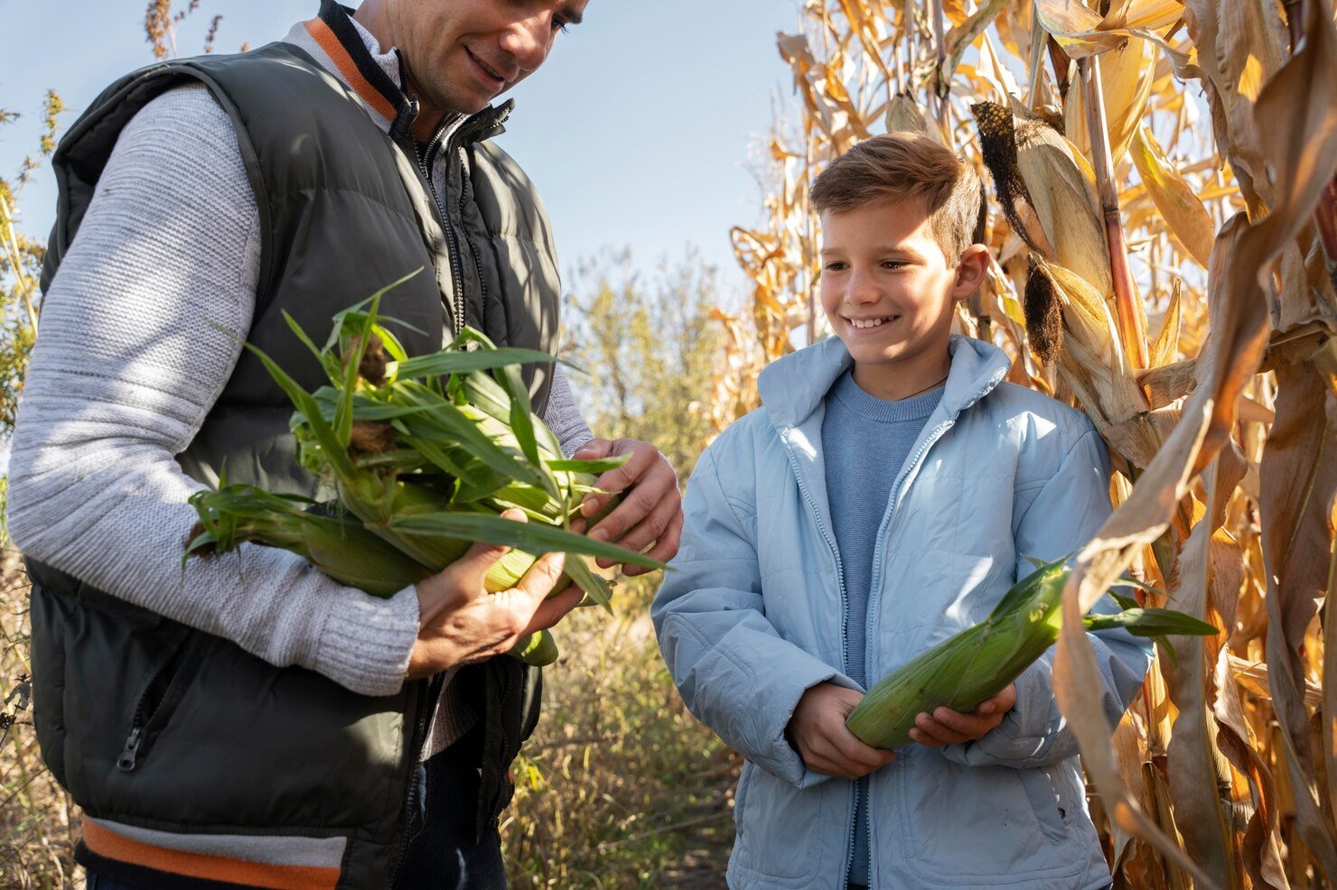 Paid Internship in Agriculture in Germany