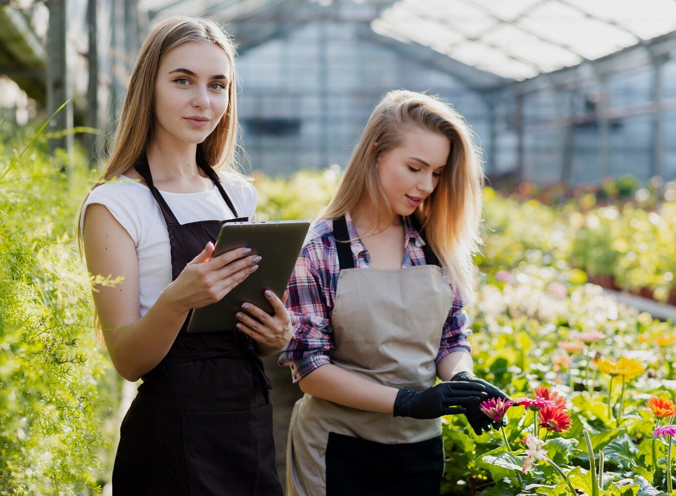 Paid Internship in Agriculture in Sweden